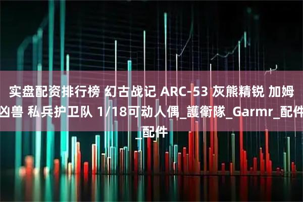 实盘配资排行榜 幻古战记 ARC-53 灰熊精锐 加姆凶兽 私兵护卫队 1/18可动人偶_護衛隊_Garmr_配件