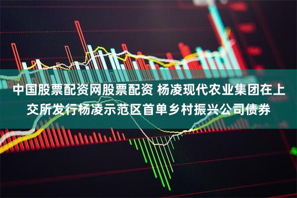 中国股票配资网股票配资 杨凌现代农业集团在上交所发行杨凌示范区首单乡村振兴公司债券