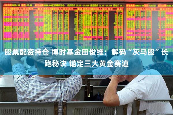 股票配资持仓 博时基金田俊维：解码“灰马股”长跑秘诀 锚定三大黄金赛道